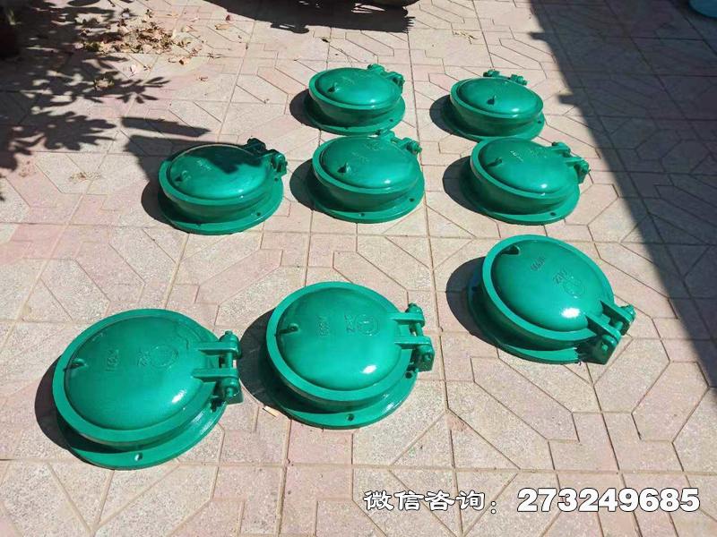城阳玻璃钢止水拍门