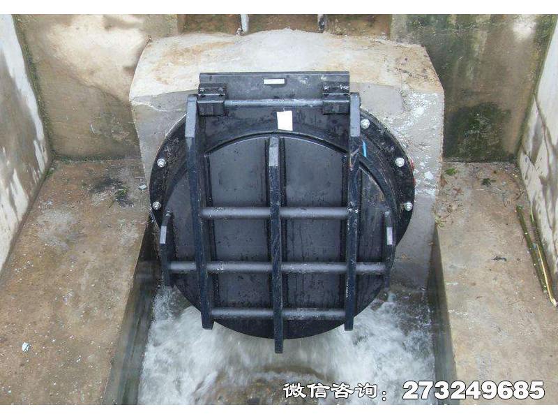 桐乡钢制水渠拍门